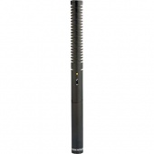 Микрофон Rode NTG2