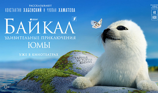 20 самых кассовых неигровых фильмов за 2021 год 
