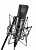 Микрофон Neumann U 89 i