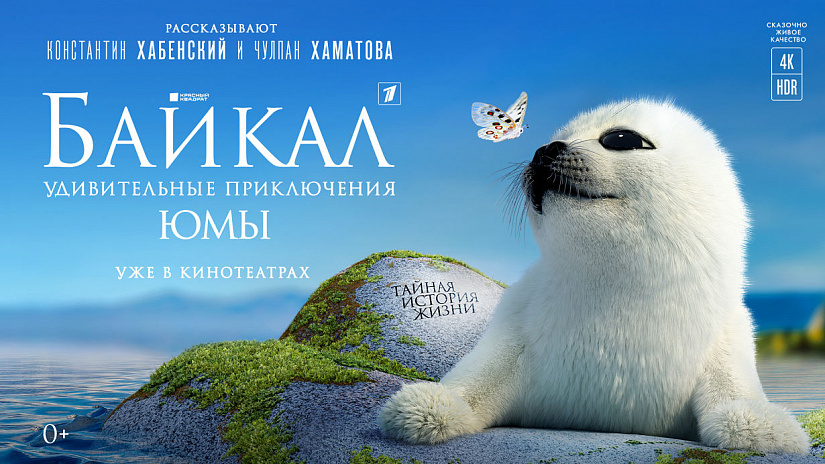 20 самых кассовых неигровых фильмов за 2021 год 